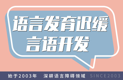 语言迟缓言语开发